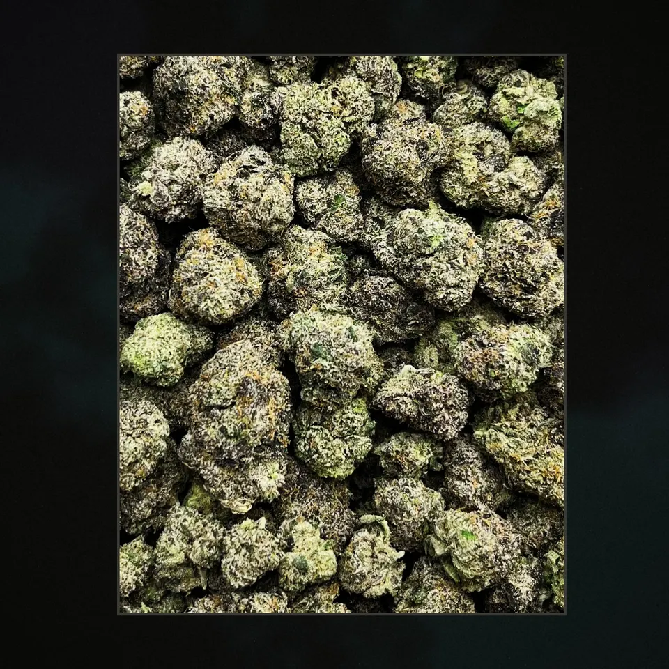 Archive Runtz THCA flower, trichome close-up