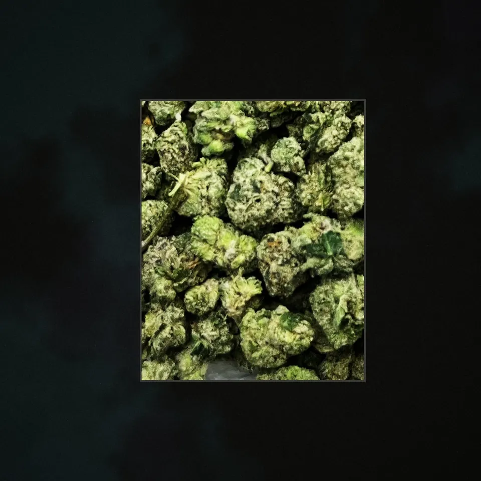 Archive THCA flower, trichome close-up
