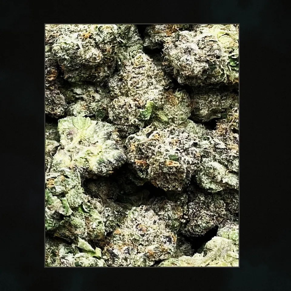 Blue Slushie THCA flower, trichome close-up