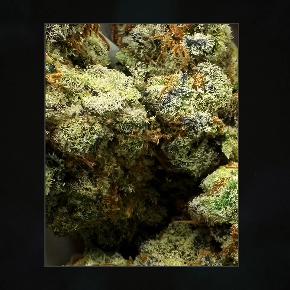 Cherry Cream Float THCA flower, trichome close-up