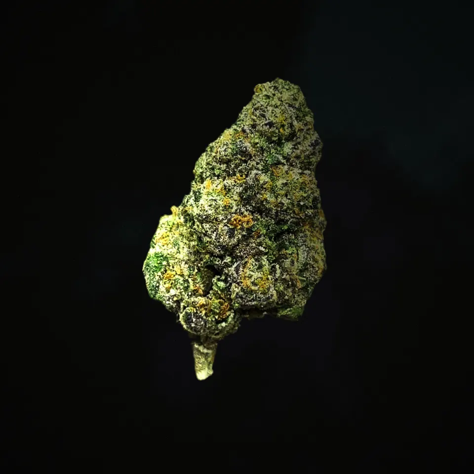 Cream Smoothie THCA flower, macro on black