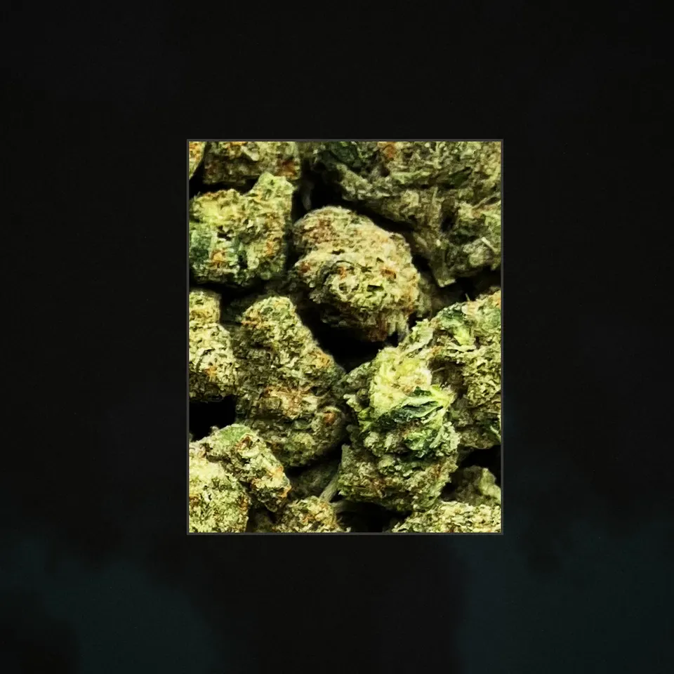 Elektra Ice THCA flower, trichome close-up