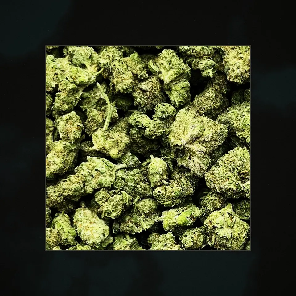 GCC THCA flower, macro on black