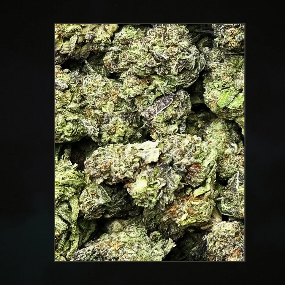 Gelato 45 THCA flower, trichome close-up