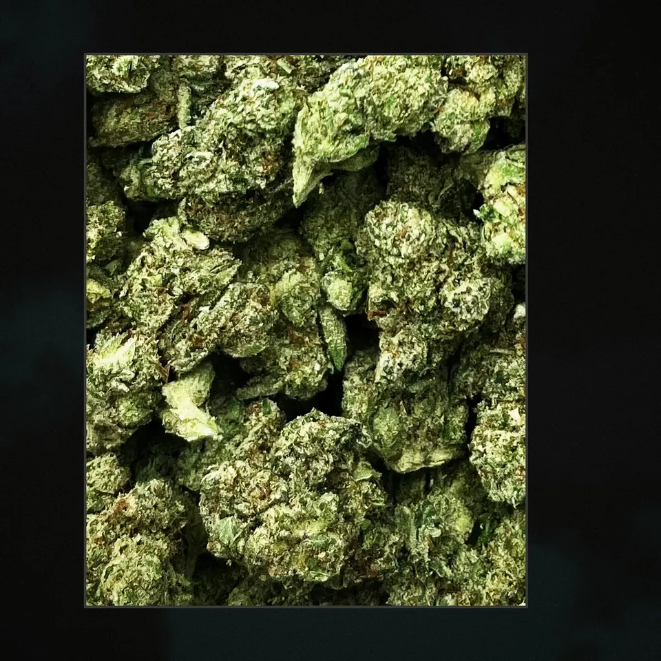 Gorilla Funk THCA flower, trichome close-up