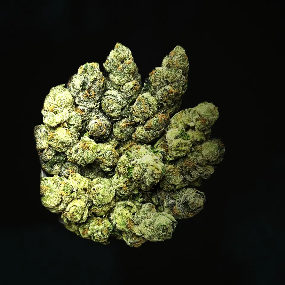 Gumbo Mintz THCA flower, macro on black