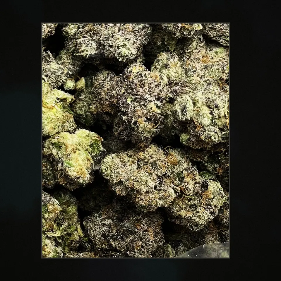 Gumbo THCA flower, trichome close-up