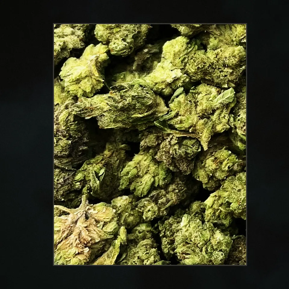 Jelly Roll THCA flower, trichome close-up