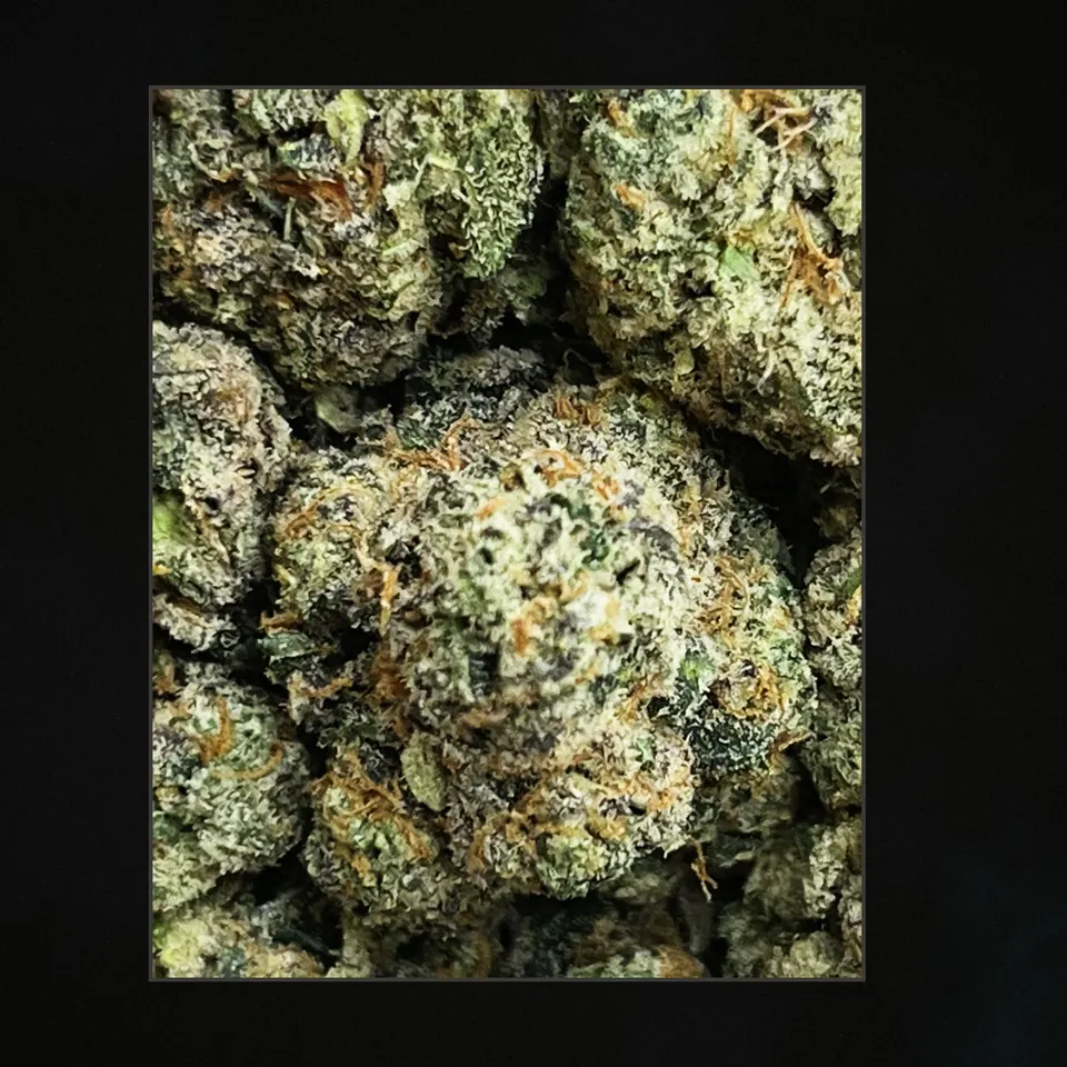 LA Push Pop THCA flower, trichome close-up