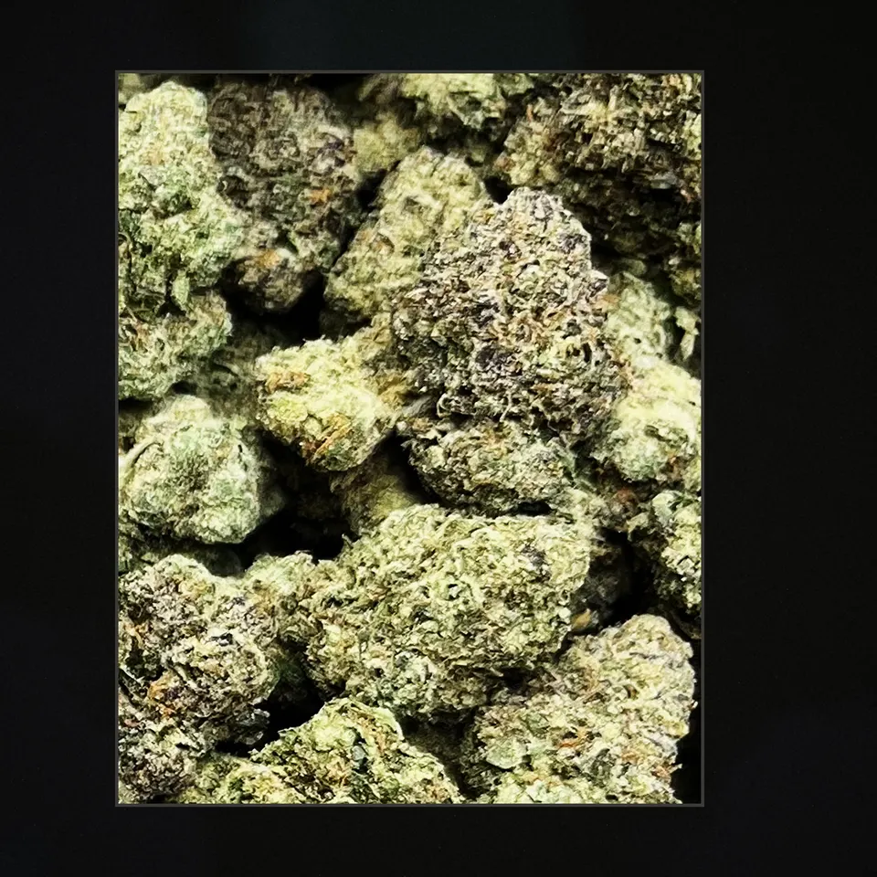 Lemon Cherry Gelato THCA flower, trichome close-up