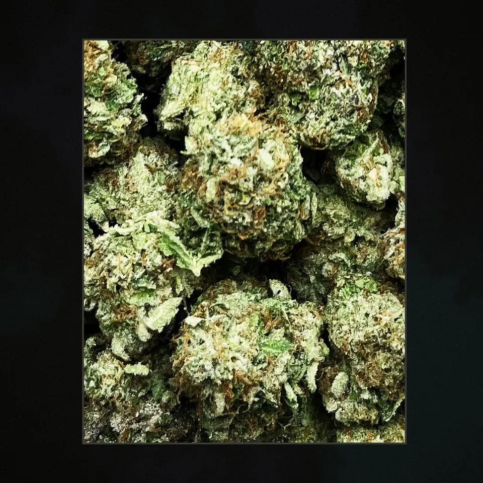 Lemon Mintz THCA flower, trichome close-up