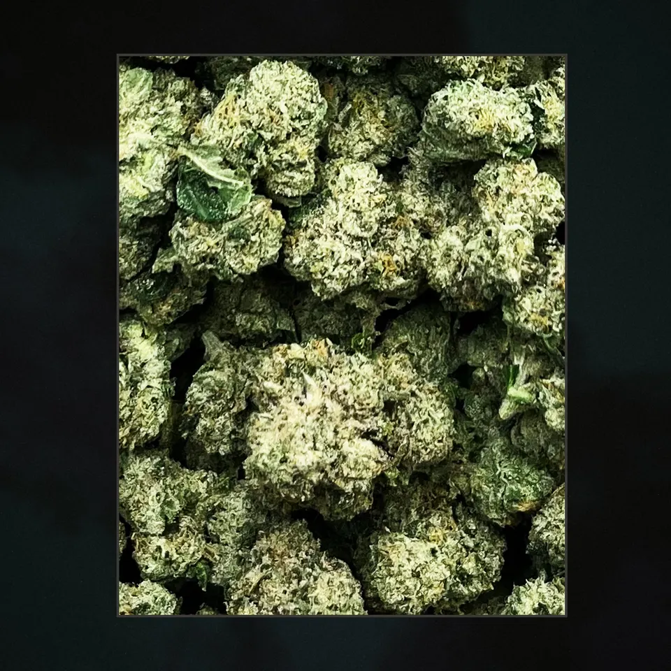 LFG THCA flower, trichome close-up