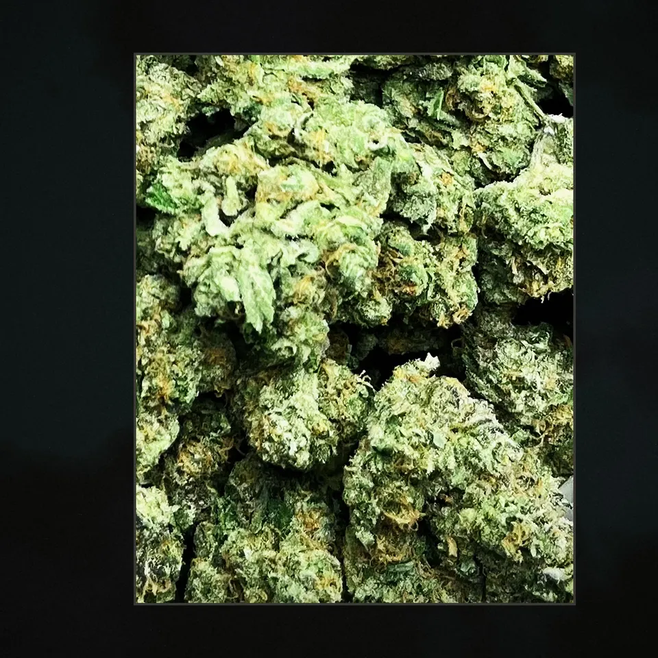London 41 THCA flower, trichome close-up
