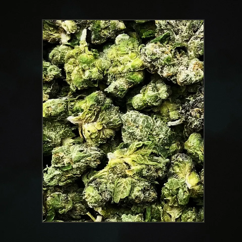 MOB THCA flower, trichome close-up (c0k5-ixe-mob-smalls)