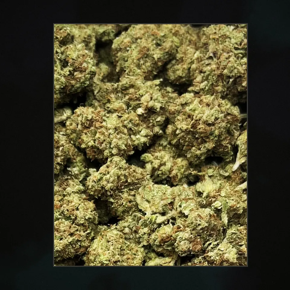 OG THCA flower, trichome close-up