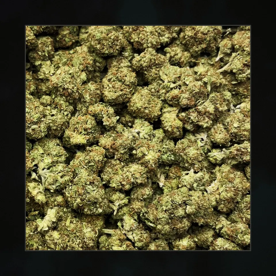 OG THCA flower, macro on black