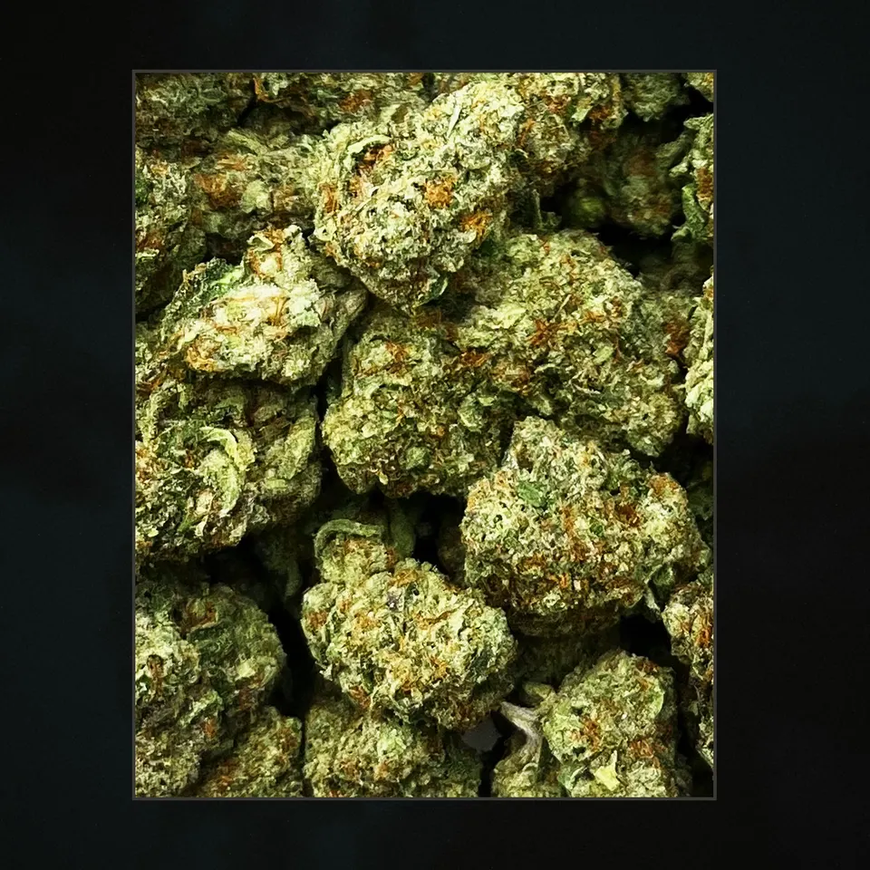 Pineapple Supreme THCA flower, trichome close-up