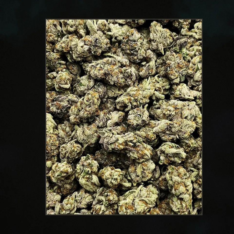 Pink Runtz THCA flower, trichome close-up