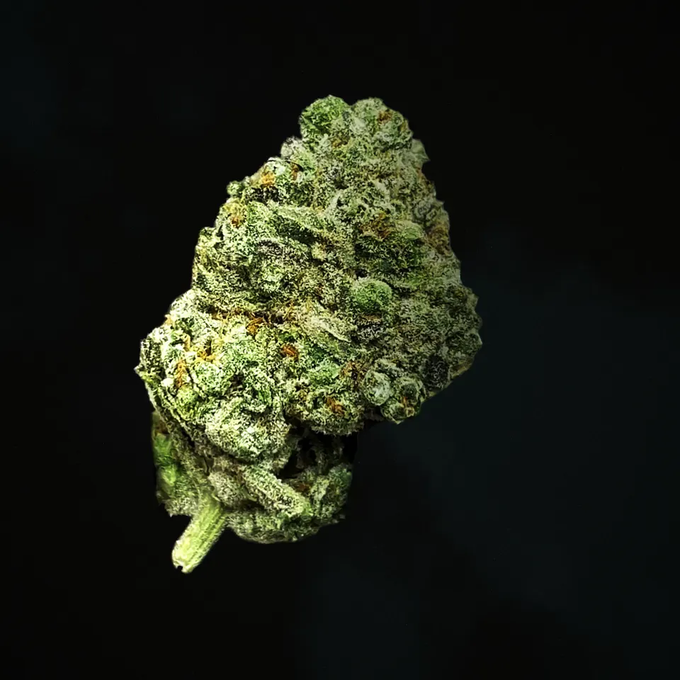 Platinum Lemon Gelato THCA flower, macro on black