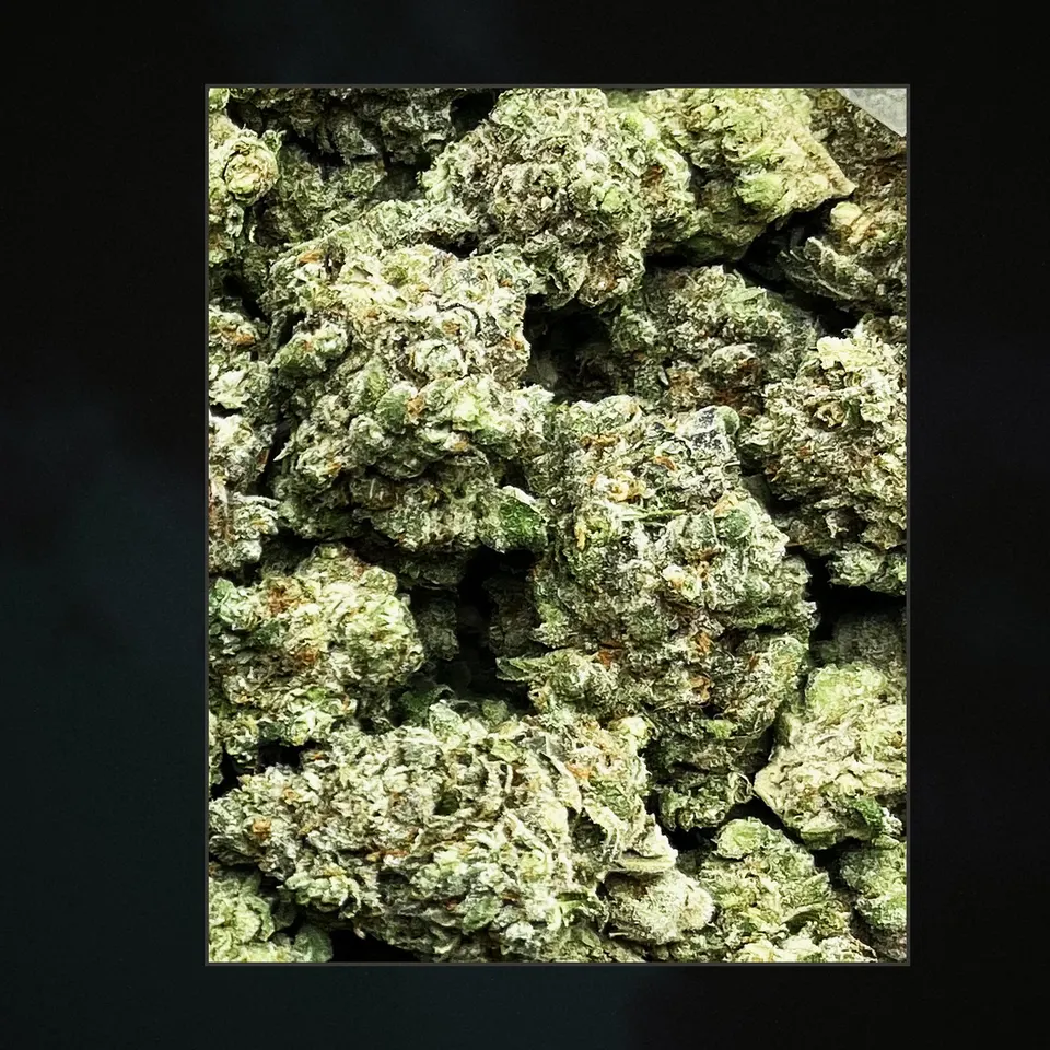 Platinum Lemon Gelato THCA flower, trichome close-up