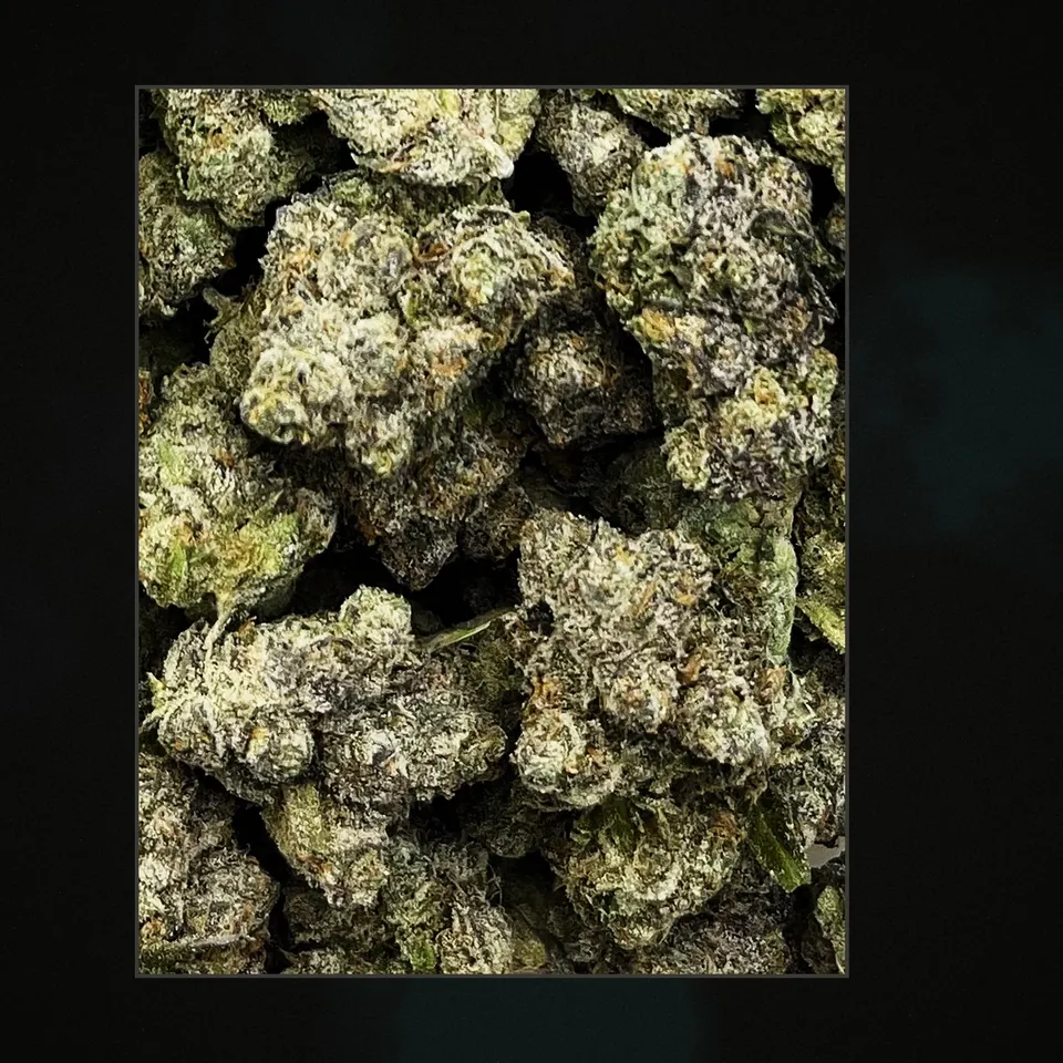 Purple Bandz THCA flower, trichome close-up