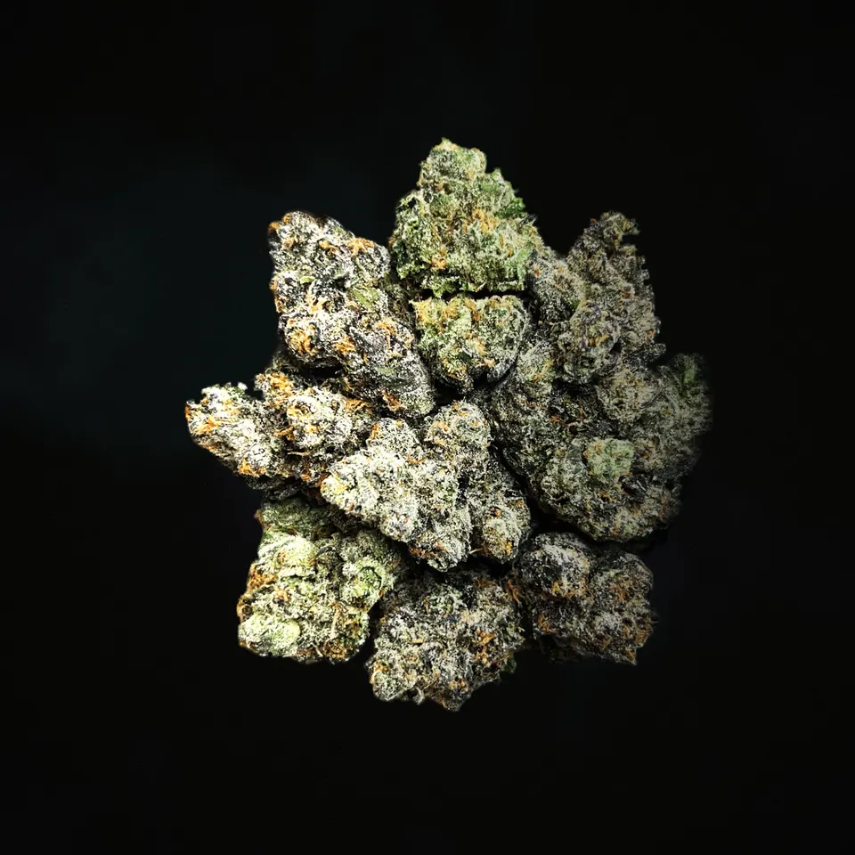 Purple Bandz THCA flower, macro on black