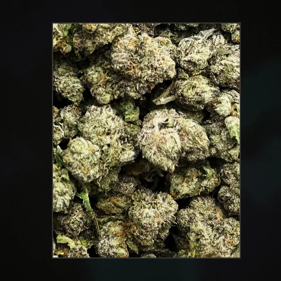 Purple Society THCA flower, trichome close-up