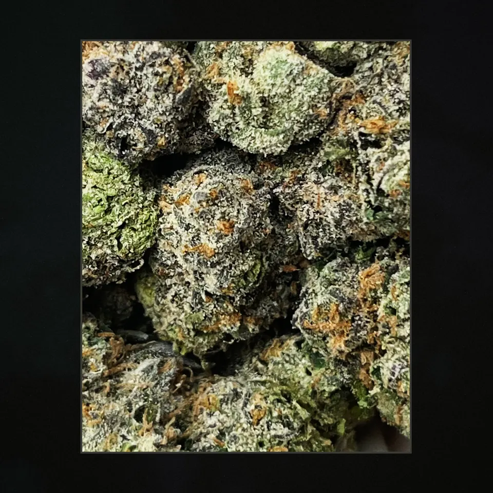 Purple Walk THCA flower, trichome close-up