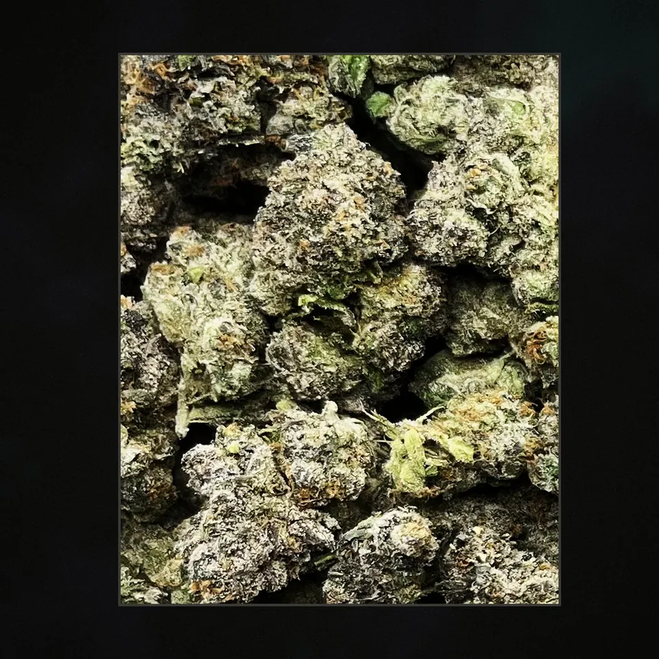 Red Lemon THCA flower, trichome close-up
