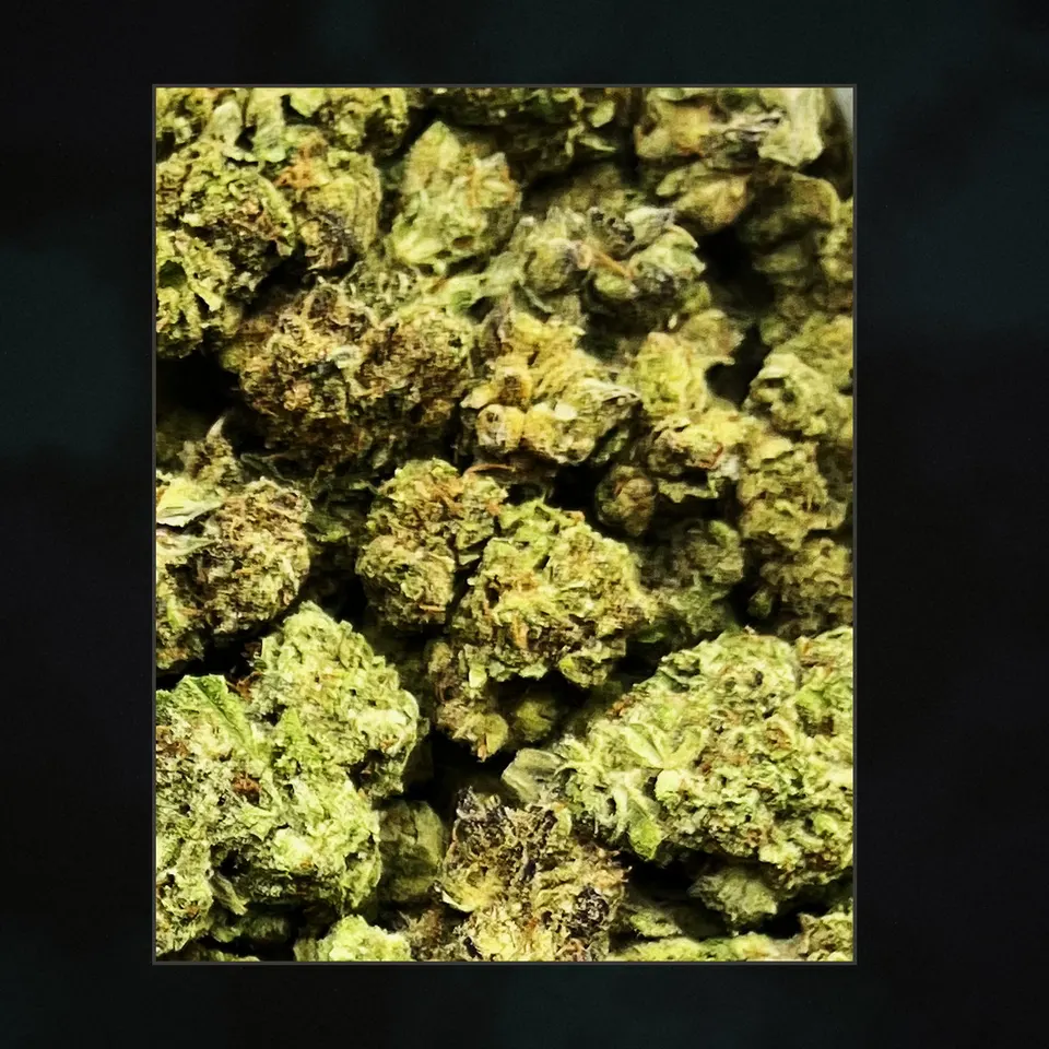 Runtz THCA flower, trichome close-up