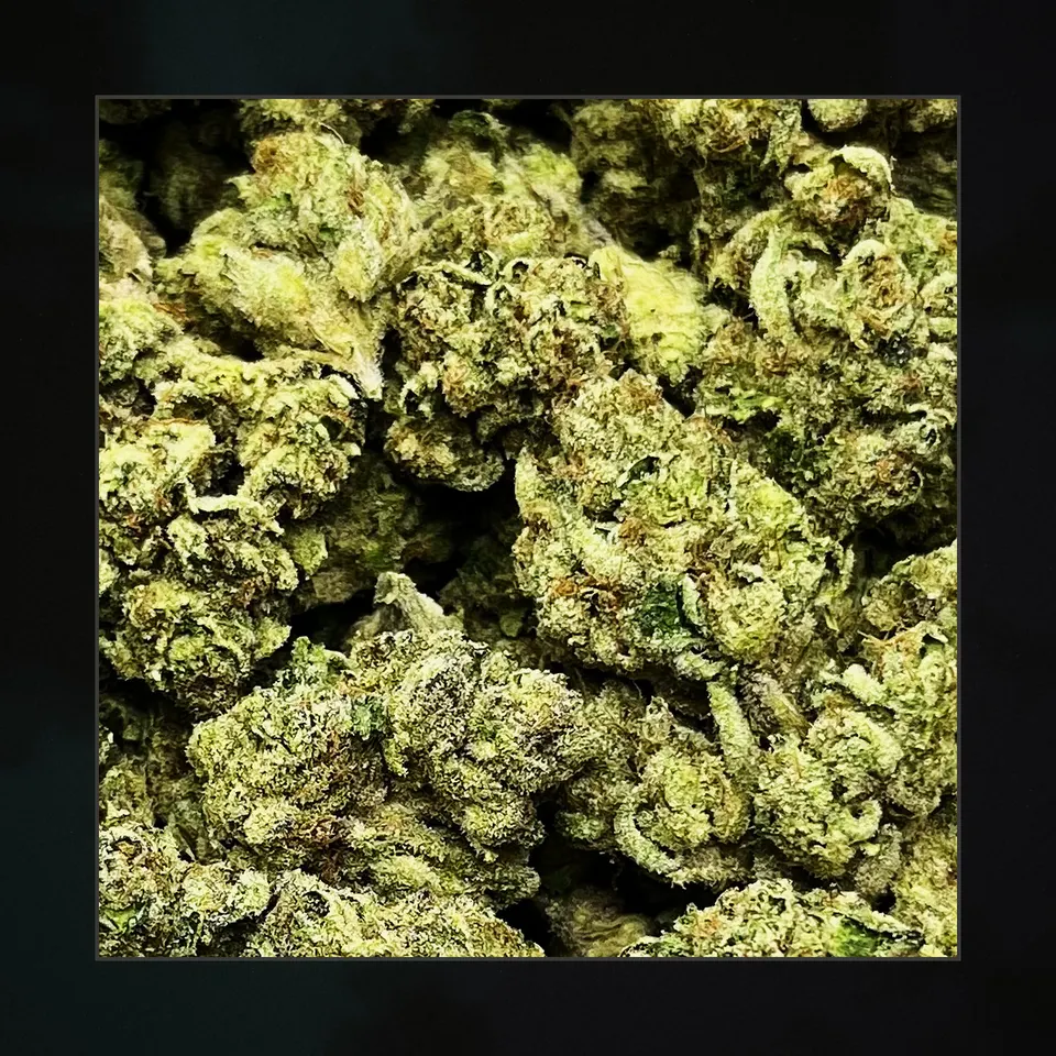 SFV OG THCA flower, macro on black