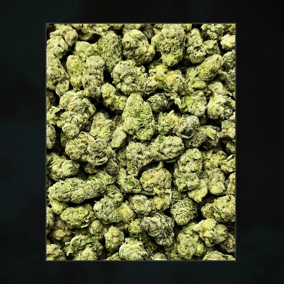 Sin Mintz THCA flower, trichome close-up
