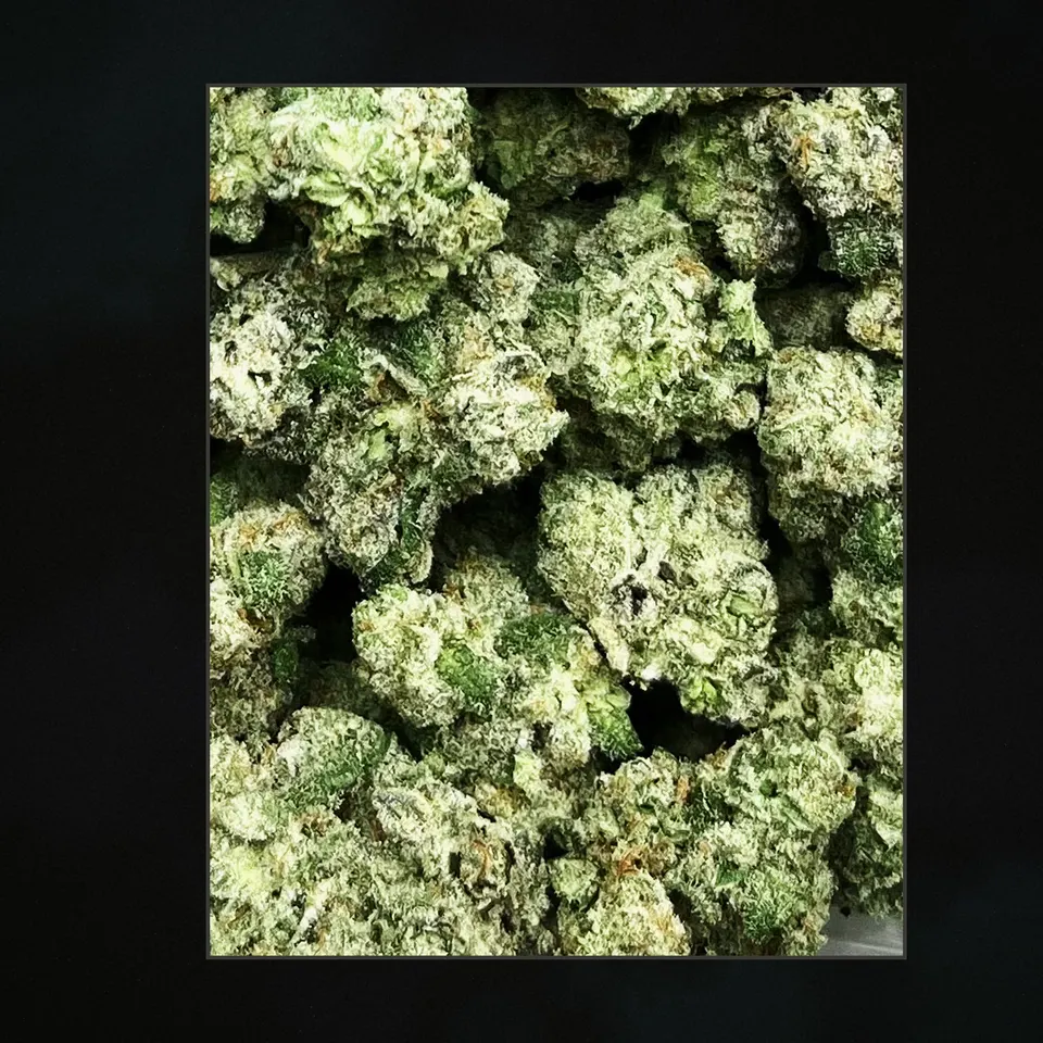 Spash THCA flower, trichome close-up