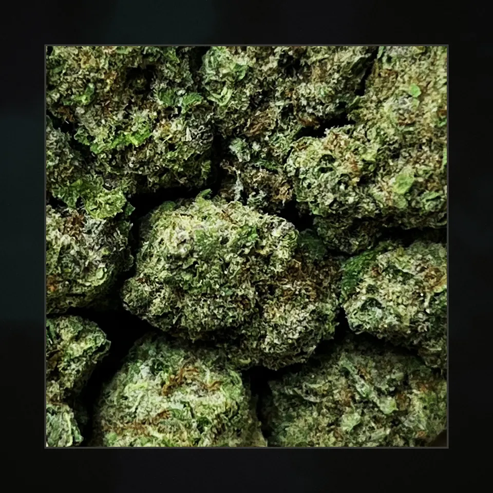Super Boof THCA flower, macro on black
