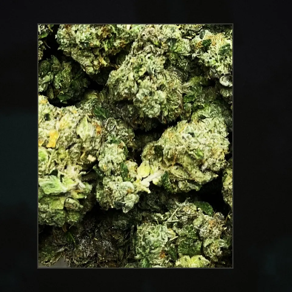 Toad Venom THCA flower, trichome close-up