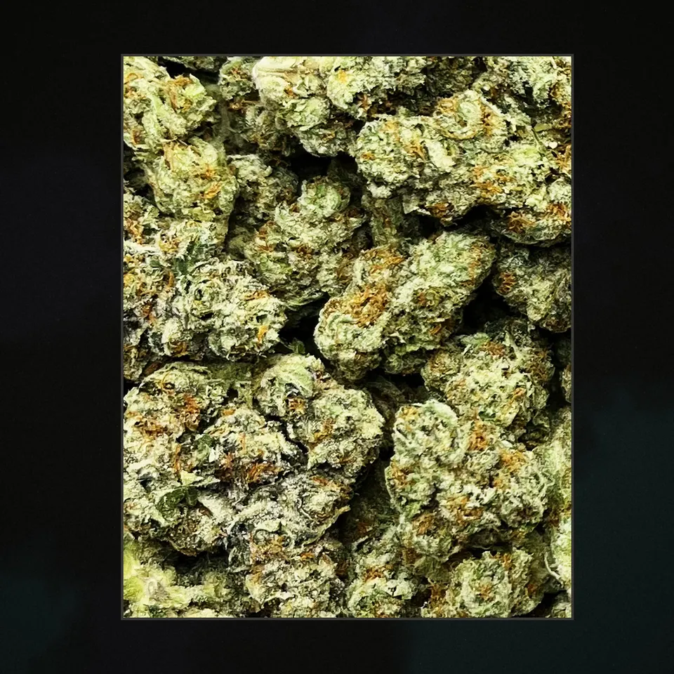 White Runtz THCA flower, trichome close-up