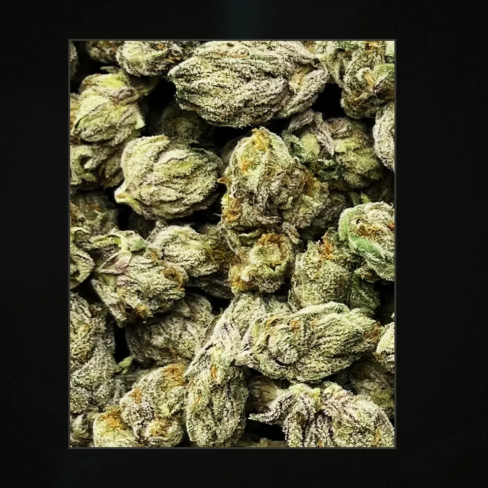 Zoda THCA flower, trichome close-up