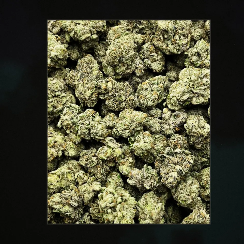 Zonutz THCA flower, trichome close-up